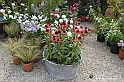 VBS_6634 - FLOREAL Ottobre 2022 - Tre giorni di fiori, piante e bellezza